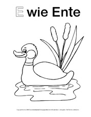E-wie-Ente-4.pdf